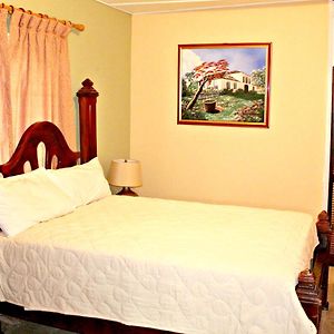 Single Room Garden View